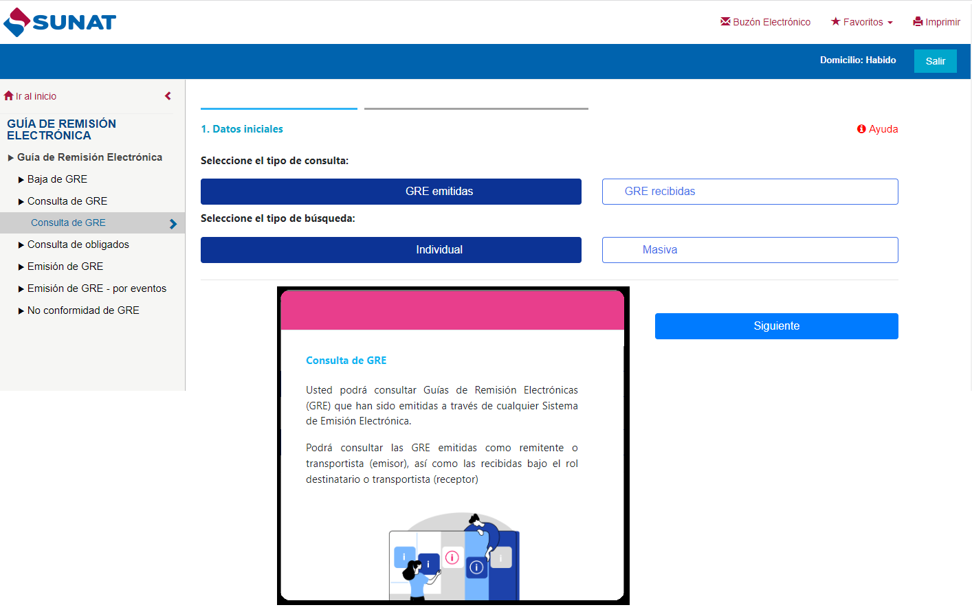 Consulta De Una Gre Comprobantes De Pago Electrónicos 